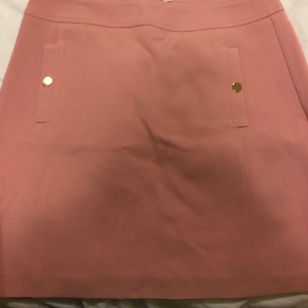 NWT LOFT Size 10 Pink Skirt